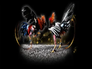 Bật Mí Cách Chơi Đá Gà Sabong Sclub88 Từ Các Kê Sư Philippines